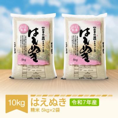 ふるさと納税 村山市 米 はえぬき 精米 10kg 5kg×2袋 令和7年産 2025年産