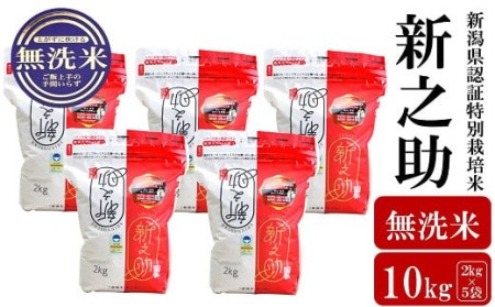 【令和5年産米】新潟県認証特別栽培米 新之助 無洗米 10kg（2kg×5袋） [F258]