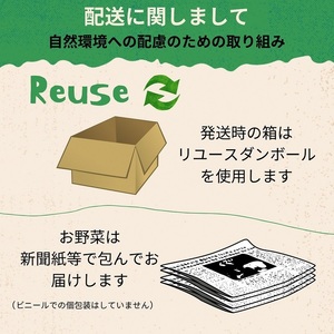 【2024年産 予約】にんにく 1kg 京都府・亀岡産 自然栽培のかたもとオーガニックファームよりお届け ※2024年5月末頃より順次発送予定 ※離島への発送不可