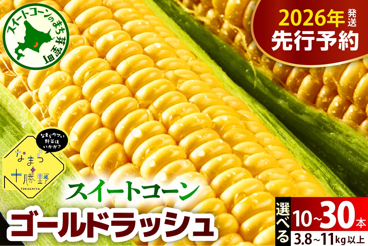 
            【先行受付】【2026年7月下旬～8月15日頃配送】北海道十勝芽室町 とうもろこし スイートコーンゴールドラッシュ(選べる本数 : 10本 20本 30本 ) me001-003-o
          