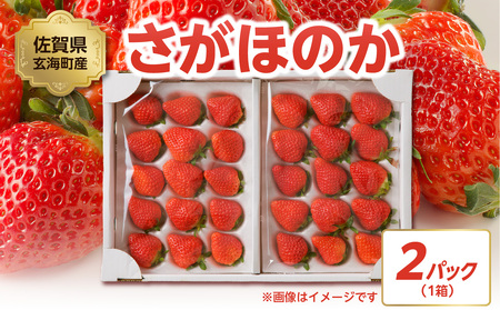 ★予約受付★渡邉農園 佐賀県玄海町産いちご「さがほのか」2025年1月～4月順次配送【D016】