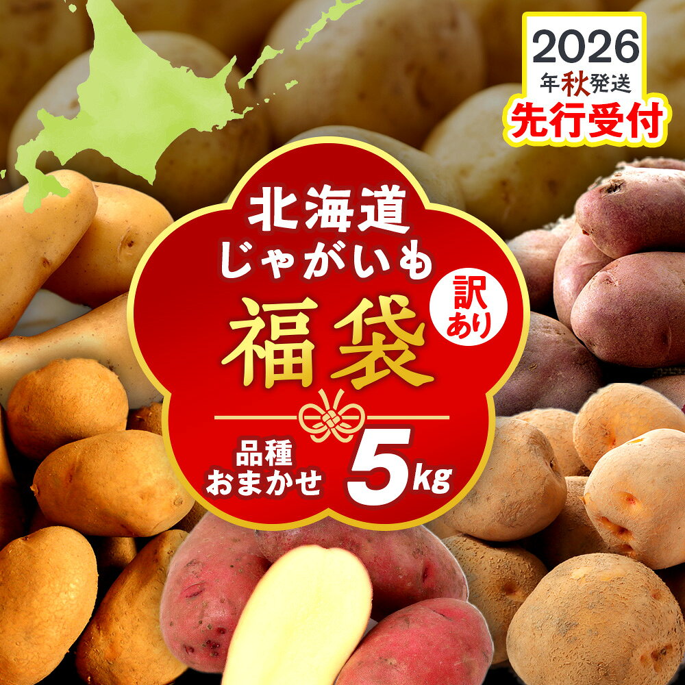 【ふるさと納税】【2026年10月発送！】北海道産 じゃがいも 訳あり 5kg〈秋山農園〉 "お楽しみランダム" きたあかり メークイン ノーザンルビー レッドムーン 北海黄金 北海道 訳アリ ポテト 芋 キタアカリ 国産 馬鈴薯 野菜 産地直送 根菜 北海道ふるさと納税 木古内町
