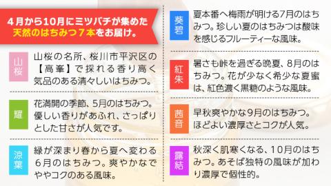 【桜川市限定】山桜はちみつと田舎はちみつの7種プチギフトセット<結蜜 Musubi-S7【茨城県共通返礼品／五霞町】[BS002sa]