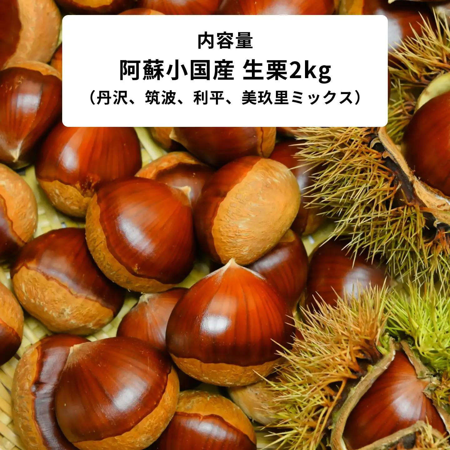 【学びやの里】生栗 阿蘇 小国産 大粒 約2kg 旬の素材 国産 熊本県産 果物 和栗 品種ミックス お取り寄せ お菓子材料 栗ご飯 チルド 冷蔵配送