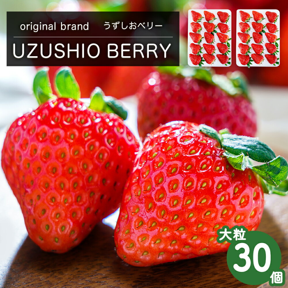 【ふるさと納税】フルーツガーデンやまがたのいちご「うずしおベリー」約900g 大粒 30個 苺 いちご イチゴ 紅ほっぺ 果物 フルーツ 送料無料 徳島 鳴門 農家直送 ギフト 甘い 旬 数量限定