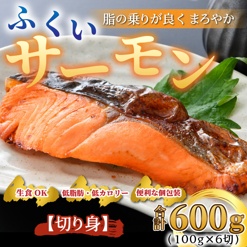 【先行予約】ふくいサーモン 切り身 100g×6切 計600g ＜鮮度抜群！アレンジ自在！真空冷凍＞ ／ 生食OK 刺身 焼き魚 鮭 国産※2024年7月中旬以降順次発送