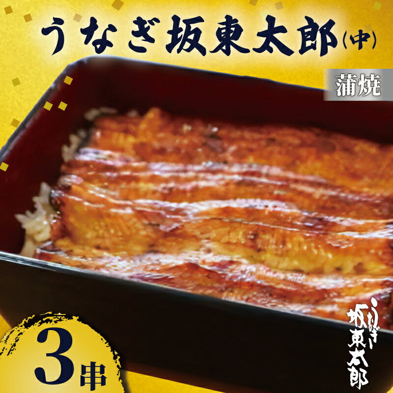 【ふるさと納税】 うなぎ坂東太郎 蒲焼 中3串 うなぎ 坂東太郎 蒲焼 グルメ 鰻 加工品 レトルト 惣菜 人気 おすすめ 簡単調理 真空パック お取り寄せ グルメ ギフト お土産 土用の丑の日 お中元 贈答 プレゼント 贈り物 食品 うな重 魚貝 冷凍 送料無料 千葉県 銚子市 忠平