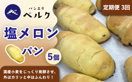 【3回定期便】塩メロンパン 5個セット / メロンパン 塩メロンパン 塩パン めろんぱん パン セット 冷凍パン 朝食 おやつ ぱん 菓子パン ベーカリー / 稲沢市 / パン工房ベルク[BMAF032]
