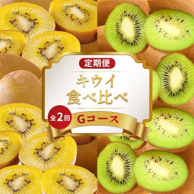 ふるさと納税 丸亀市 【発送月固定定期便】フルーツ定期便 Gコース (ゴールドキウイ 香緑キウイ)全2回