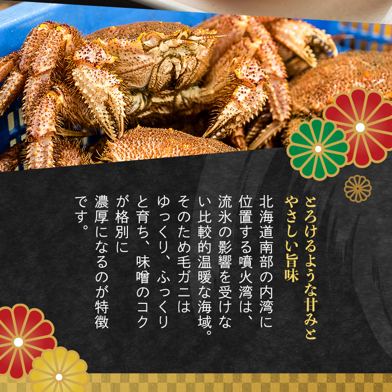 【訳あり】北海道・噴火湾産冷凍ボイル毛ガニ約300g前後×6尾  mr1-1431
