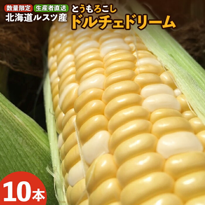 【ふるさと納税】【8月～9月発送予定・数量限定】ルスツ産 とうもろこし ドルチェドリーム 10本 玉手農場 オンライン 申請 ふるさと納税 北海道 留寿都 野菜 旬野菜 夏野菜 産地直送 新鮮 とうきび トウモロコシ コーン 甘い ミラクルコーン 採れたて 留寿都村【1200601】