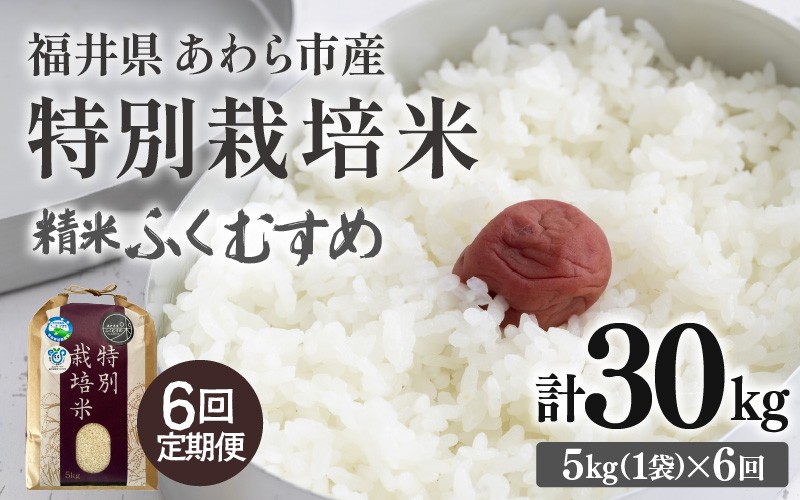 
                  【先行予約】【令和8年産】定期便 ≪6ヶ月連続お届け≫ 化学肥料不使用 ふくむすめ 精米 5kg × 6回（合計30kg）※2026年10月上旬より順次発送予定 [aw010-d007]
                