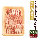 【ふるさと納税】くまもとあか牛 カルビ 焼肉用 約500g/約1kg 選べる内容量 お肉 和牛 牛肉 焼き肉 カルビ 熊本県産 九州産 国産 冷凍 送料無料