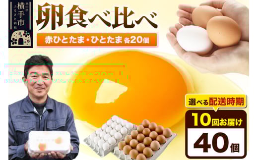 《定期便10ヶ月》赤ひとたま 20個・ひとたま 20個 計40個（業務用）