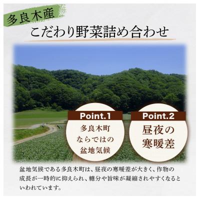 ふるさと納税 多良木町 【毎月定期便】熊本の大地の恵み 旬のこだわり野菜詰め合わせセット8〜12品(3〜4名様向け)全12回 |  | 02