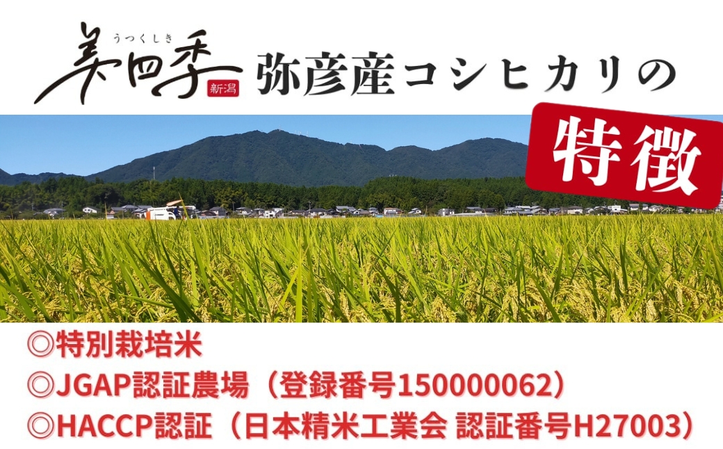 令和7年産 新潟県弥彦産コシヒカリ 美四季4kg(2kg×2袋) 皇室献上米農家生産 特別栽培米