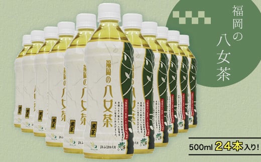 
福岡の八女茶ペットボトル（５００ｍｌ×２４本入り） 2K1
