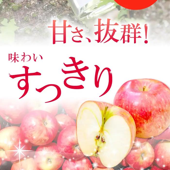 りんごのスパークリングワイン 「シードル赤来」  750ml【ワイン 炭酸 お酒 リンゴ パーティ ギフト】