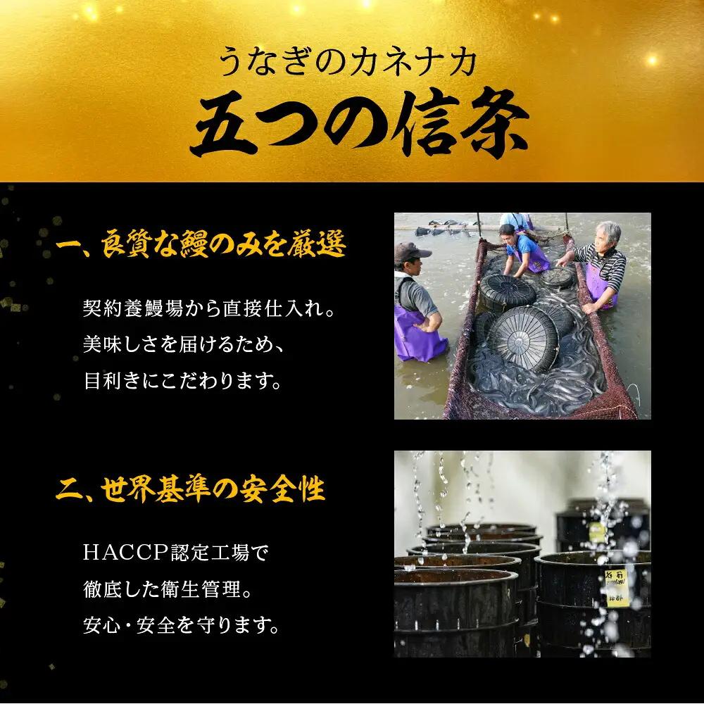 国産若うなぎ 3尾 蒲焼 うなぎ