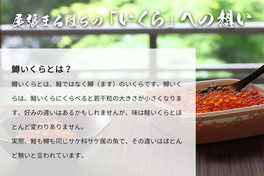 いくら 醤油漬け 200g(100g×2P) 鱒の卵 冷凍 尾張まるはち