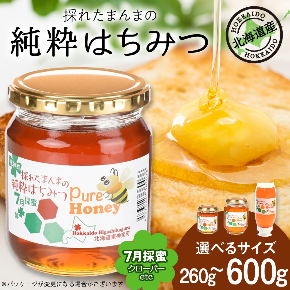 【ふるさと納税】東神楽産採れたまんまの純粋はちみつ 選べる260g〜600g 【7月採密】クローバー etc.はちみつ ハチミツ 蜂蜜 国産 非加熱 完熟 調味料 ハニー 純粋 東神楽ふるさと納税 北海道ふるさと納税