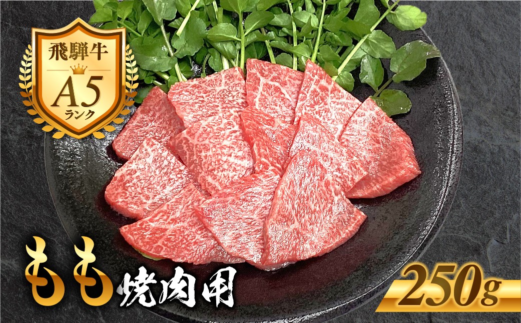 
                  ［A5等級］飛騨牛 もも 焼き肉用 250g 赤身 モモ 焼き肉 ヘルシー 肉 牛肉 精肉 黒毛和牛 和牛 BBQ 飛騨牛 お肉 肉 焼肉 冷凍 明宝ハム 明宝物産物加工 10000円 1万円 [G0026]
                