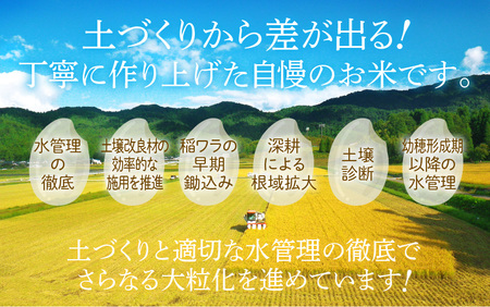 【先行予約】【令和6年産・新米】米 コシヒカリ 計10kg （5kg × 2袋）精米 福井県美浜町産 【2024年11月下旬発送予定】 [m60-a014_11]