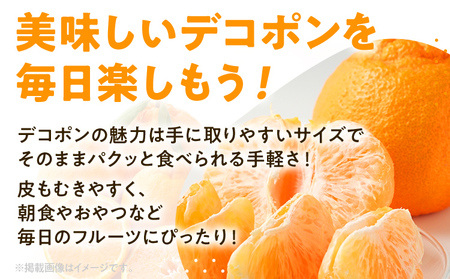 期間限定 デコポン フルーツ 果物 くだもの 1kg 柑橘 甘い 濃厚 ジューシー 産地直送 デザート おやつ オレンジ 福岡県 福岡 九州 グルメ お取り寄せ 【2月上旬頃から順次発送】