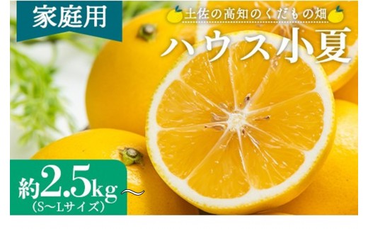 
                  【2027年出荷分】小夏 2.5kg 5kg 日向夏  訳あり 高知 家庭用 土佐 ハウス小夏 訳あり 日向夏 こなつ 果物 フルーツ 土佐の高知のくだもの畑 【先行予約】 柑橘 おいしい 国産 甘い 小夏 5kg Tkd-0035
                