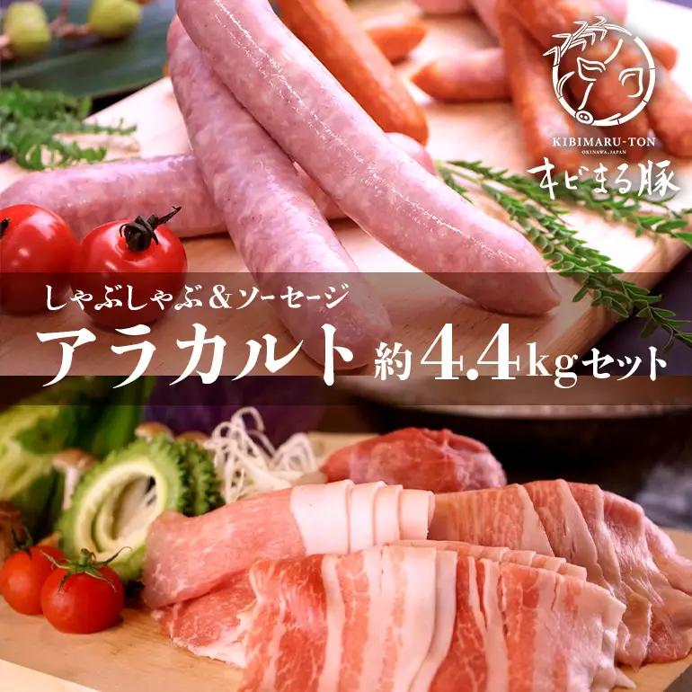 沖縄県ブランド豚 キビまる豚 豚肉の詰め合わせ5種セット1kg 小分け グルメ 食品 肉 贈り物 冷凍 豚肉 おかず お肉 惣菜 お取り寄せ ブランド豚肉 バラエティ セット 新鮮 生肉 高級 柔らかい おいしい おうちご飯 高級肉 贈答 福袋 福箱 67-7