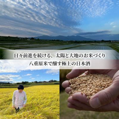 ふるさと納税 東御市 【ギフト限定】八重原を味わう、おすすめセット 十六代九郎右衛門金紋錦生もと純米・味噌・八重原米2kg |  | 03