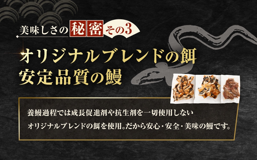 めぐみうなぎちょこっと贅沢
