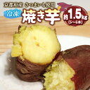 【ふるさと納税】 【12月～3月発送】冷凍 焼き芋 （紅はるか／シルクスイート／きんとき）約1.5kg 5～6本入 京都産 さつま芋使用 国内産 さつまいも 冷凍焼き芋 芋デザート 焼芋 べにはるか 金時 国産 蜜 加工品 おやつ 京都 舞鶴