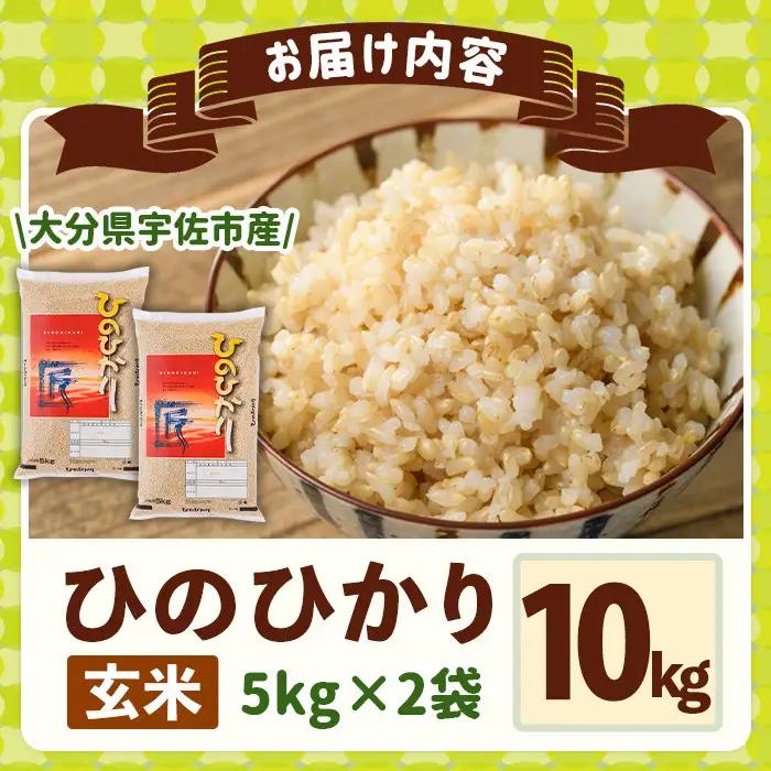 ＜令和7年産＞ひのひかり 玄米 (計10kg・5kg×2P) お米 ごはん ご飯【107101403】【あいはな農園】