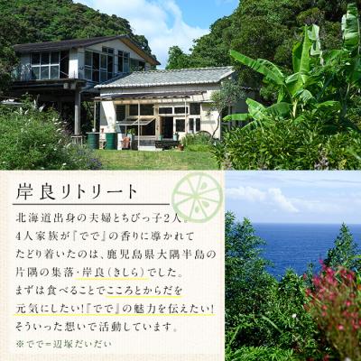 ふるさと納税 肝付町 「ででこしょう」&「ででスコ」　P60001 |  | 02