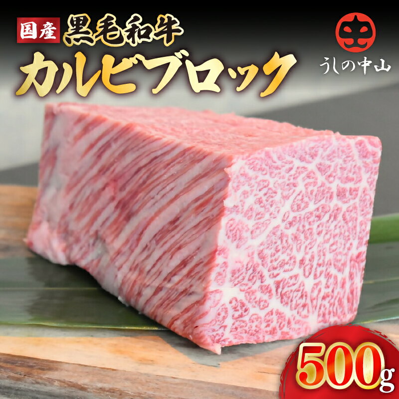 【ふるさと納税】うしの中山 カルビ ブロック 500g 和牛 黒毛和牛 ステーキ バーベキュー ローストビーフ【株式会社nixy 中山亭 鹿屋店】