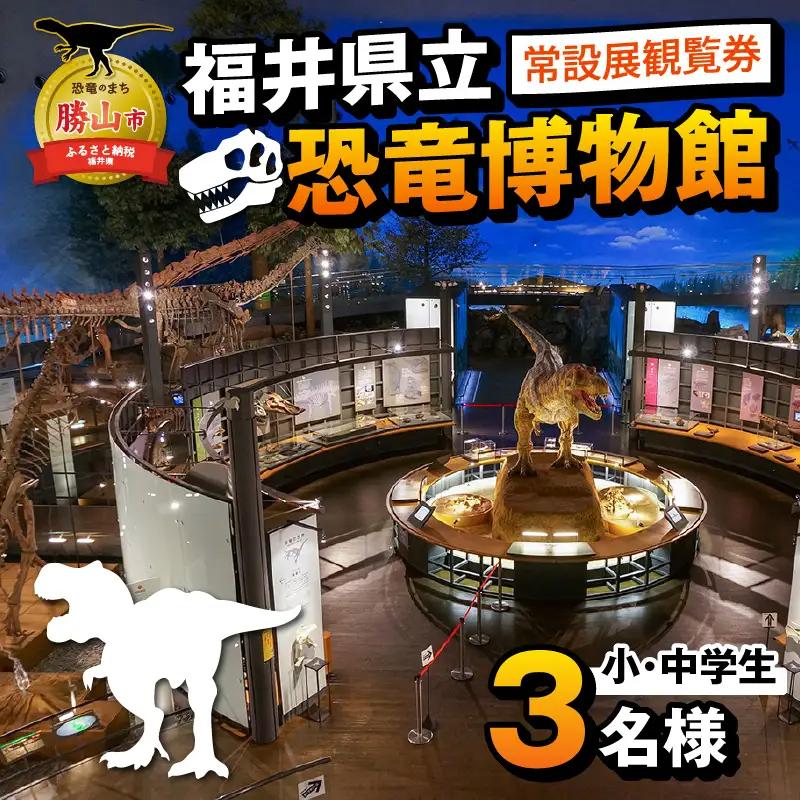 恐竜博物館 常設展 観覧券 小中学生3名 恐竜博物館