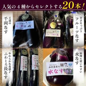 なす4種類おまかせ20本!(水なす・フルーツなす・千両なす・ふわとろ長なす)【1613686】