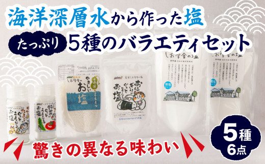 
【 海洋深層水 の 塩 】バラエティ セット たっぷり５種（６点） 米 おにぎり 野菜 玉子 など素材の 旨味が引き立つ 調味料 日用品 お弁当 ギフト 贈り物 にも おすすめ 三重県 尾鷲 しお学舎 MO-21
