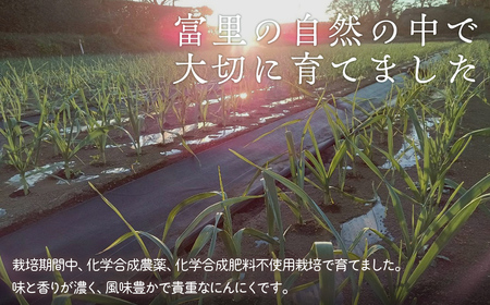 にんにく　700ｇ TMAE003 / 【ふるさと納税 人気 にんにく ニンニク スタミナ 薬味 料理 元気 疲労回復 免疫力 野菜 千葉県 富里市 送料無料 】