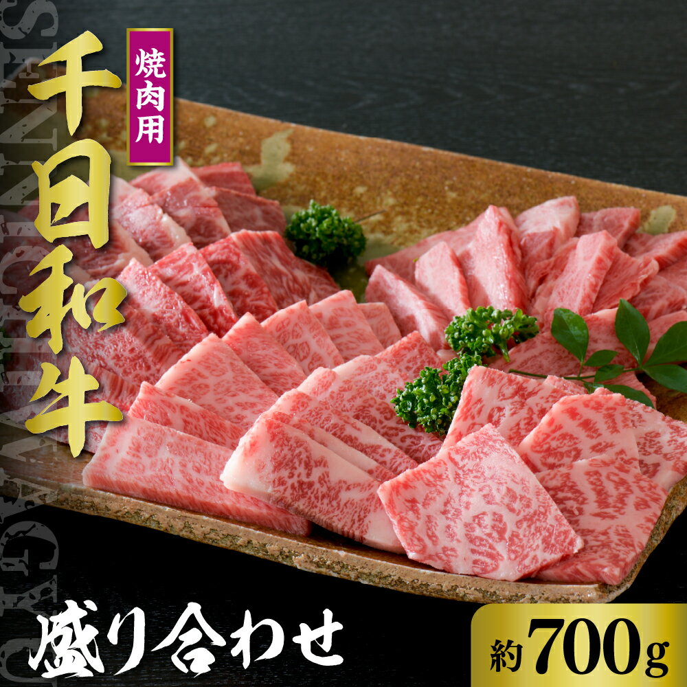 【ふるさと納税】山形牛 焼肉用 盛り合わせ 約700g【黒毛和牛 ブランド和牛】牛肉 和牛 千日和牛 カルビ ロース モモ 肩 足 国産 山形県産 お取り寄せ グルメ 食べ比べ 冷凍 送料無料