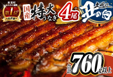 特大 うなぎ 鰻楽 国産 蒲焼 4尾 人気 無頭 計760g以上 高評価 おすすめ 冷凍 簡単調理 個包装 鰻 魚介 贈答品 ギフト 贈り物【C388】