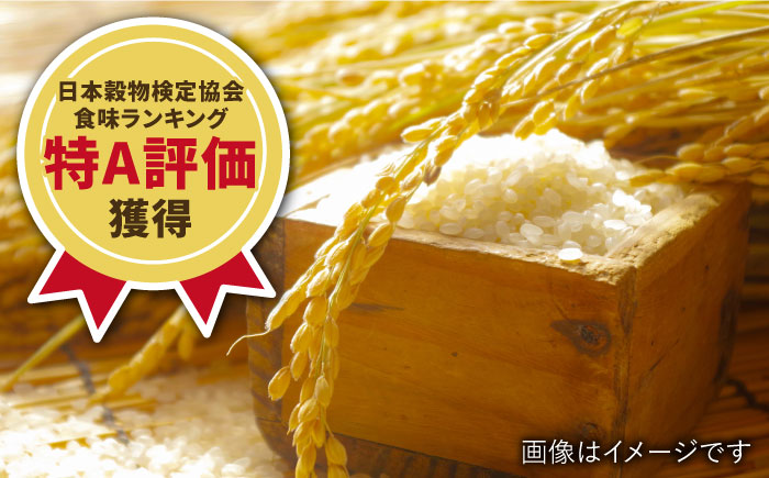 【最高ランク特A評価】令和5年産 武雄市若木産 夢しずく 20kg（5kg×4袋）/肥前糧食株式会社【配送エリア限定】 [UCL007] 白米 米 お米 こめ 精米