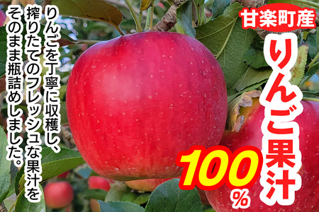 りんごスパークリング＆ジュース｜林檎 リンゴ アップルジュース 炭酸 果物 飲料 フルーツ 飲み比べ 産地直送 果汁100% 甘楽町 [0277]