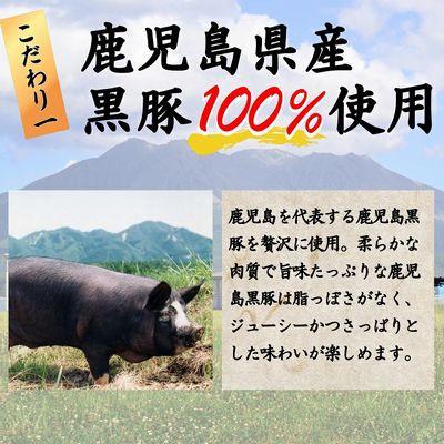 ふるさと納税 南九州市 国産素材にこだわった鹿児島黒豚餃子120個 |  | 02