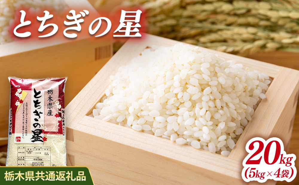 米 とちぎの星 20kg(5kg×4) 栃木県産【栃木県共通返礼品】