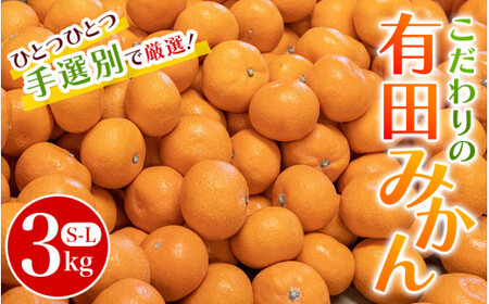 ■こだわりの和歌山県産 有田みかん 3kg（S～Lサイズ） ひとつひとつ手選別で厳選！生産者から直送 【11月中旬～1月中旬頃に順次発送分】/ みかん フルーツ 果物 くだもの 有田みかん 蜜柑 柑橘 【hdm004-r-3】