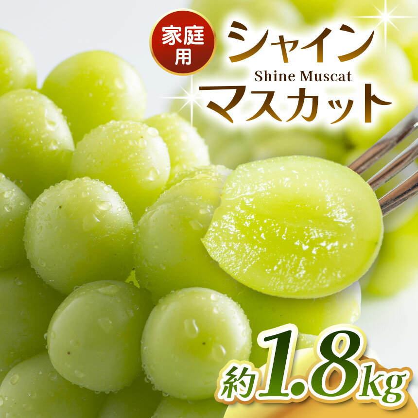 【ふるさと納税】【2025年 先行予約】 食べて応援！！ シャインマスカット 約1.8kg 2025年9月下旬～順次発送予定 塩尻市産 | シャイン ぶどう 葡萄 ブドウ くだもの 果物 フルーツ シャイン マスカット しゃいん ますかっと 先行 先行予約 旬 塩尻 長野 信州