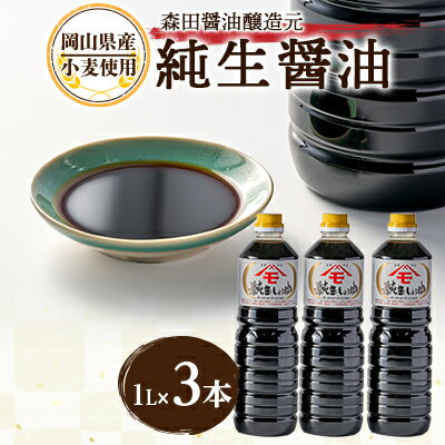 【ふるさと納税】森田醤油醸造元　純生醤油3本セット【1060293】