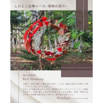 ふるさと納税 斜里町 しれとこ白樺リース No.00020「Red Harmony」 |  | 01
